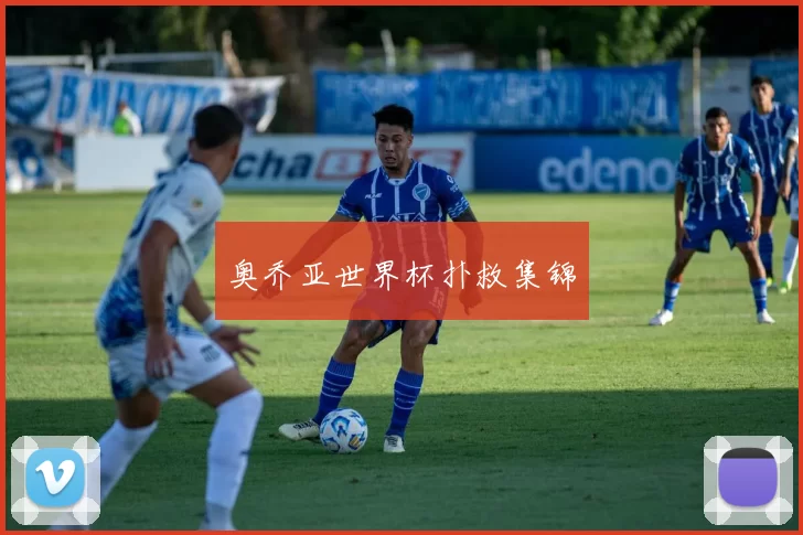 奥乔亚世界杯扑救集锦