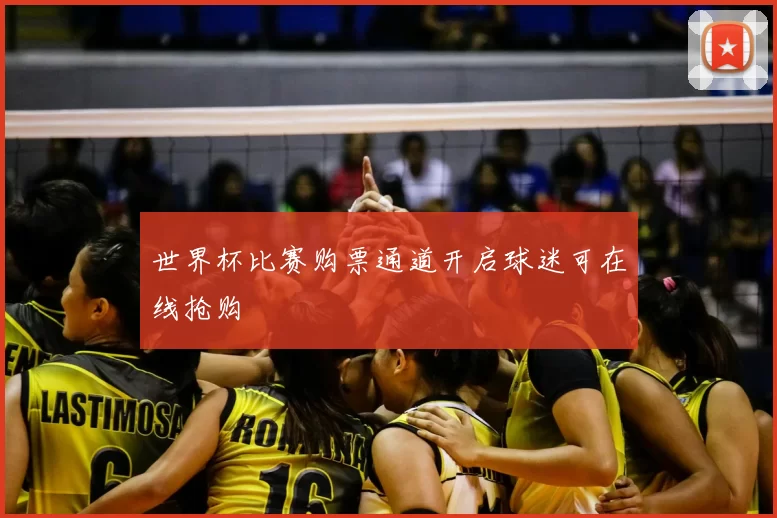 世界杯比赛购票通道开启球迷可在线抢购
