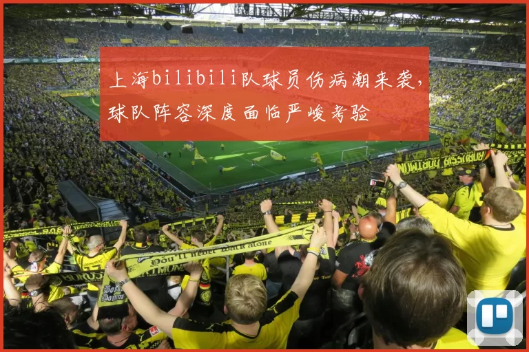 上海bilibili队球员伤病潮来袭，球队阵容深度面临严峻考验
