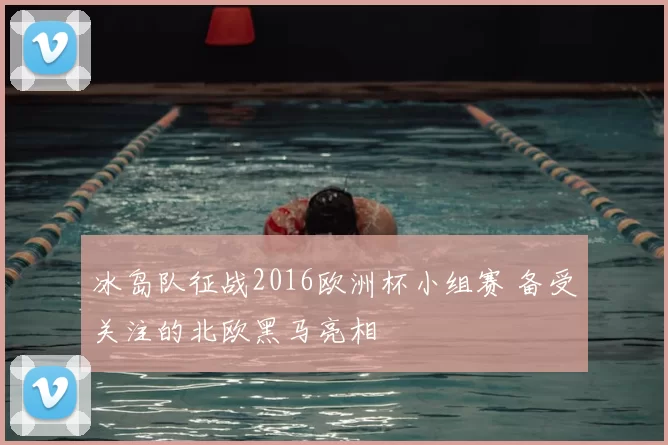 冰岛队征战2016欧洲杯小组赛 备受关注的北欧黑马亮相