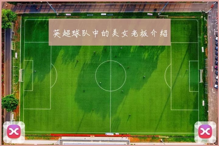 英超球队中的美女老板介绍