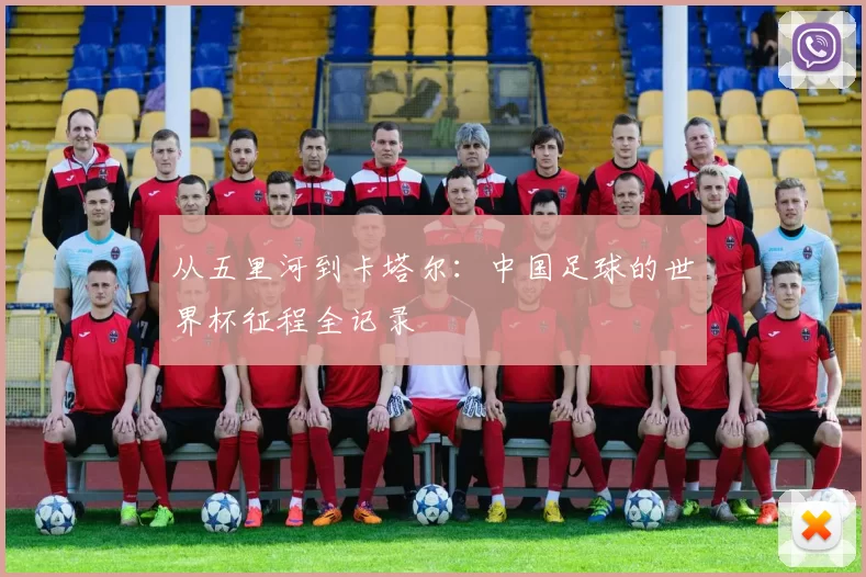 从五里河到卡塔尔：中国足球的世界杯征程全记录