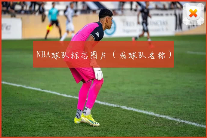 NBA球队标志图片(或球队名称)