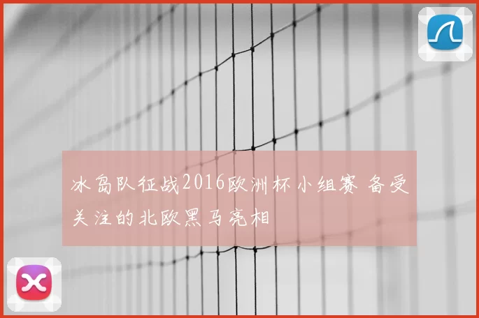 冰岛队征战2016欧洲杯小组赛 备受关注的北欧黑马亮相