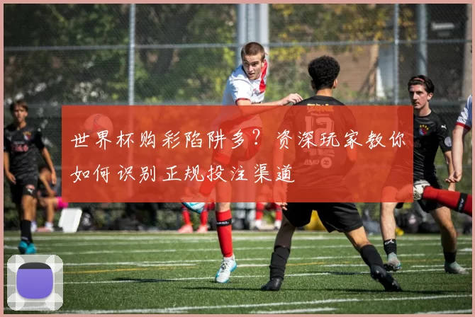 世界杯购彩陷阱多?资深玩家教你如何识别正规投注渠道