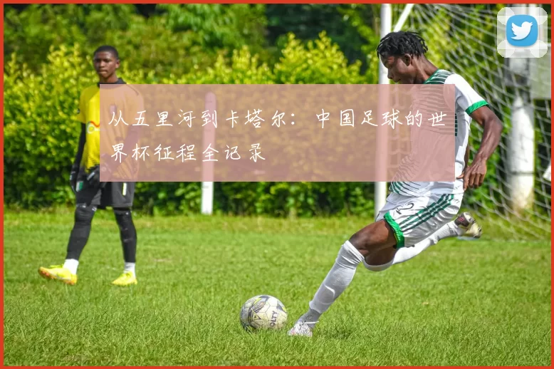从五里河到卡塔尔:中国足球的世界杯征程全记录