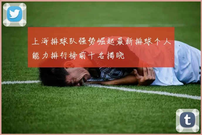 上海排球队强势崛起最新排球个人能力排行榜前十名揭晓