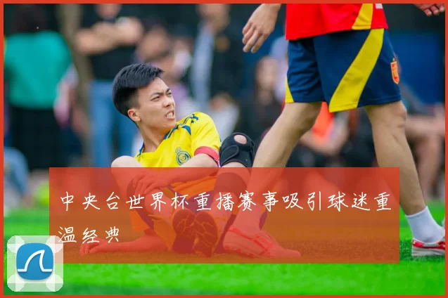 中央台世界杯重播赛事吸引球迷重温经典