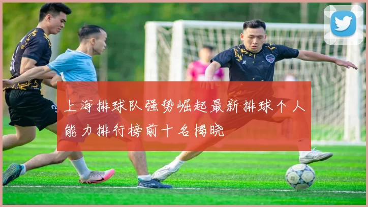 上海排球队强势崛起最新排球个人能力排行榜前十名揭晓