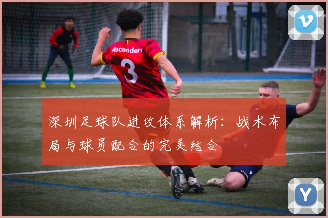 深圳足球队进攻体系解析：战术布局与球员配合的完美结合